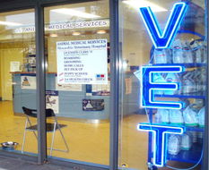 Book Sydney Accommodation Vacations Vets Newcastle Vets Newcastle