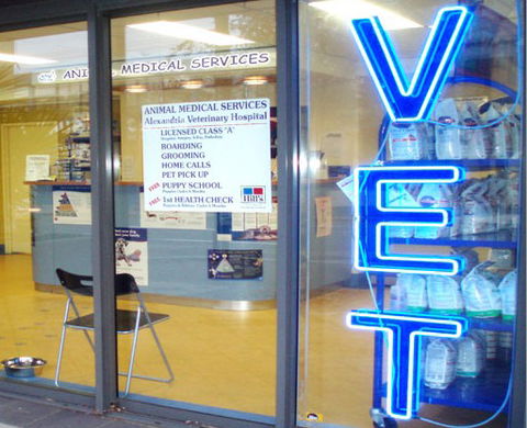 Alexandria Veterinary Surgery - Vets Newcastle 0
