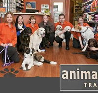 Animal Tracks Veterinary Clinic - Vets Newcastle