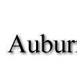 Auburn Veterinary Hospital - Vets Newcastle