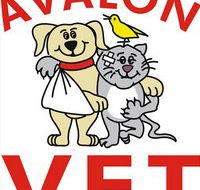 Avalon Veterinary Hospital - Vets Newcastle