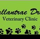 Ballantrae Drive Veterinary Clinic - Vets Newcastle