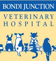 Bellevue Hill NSW Vets Newcastle