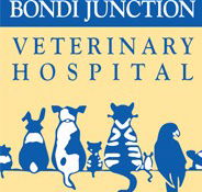 Bondi Junction Veterinary Hospital