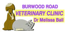 Burwood Road Vet Clinic - Vets Newcastle 0