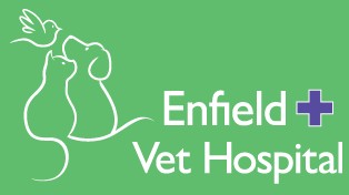 Enfield Veterinary Hospital - Vets Newcastle 0