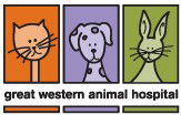 Girraween NSW Vets Newcastle