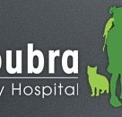 Maroubra Veterinary Hospital - Vets Newcastle