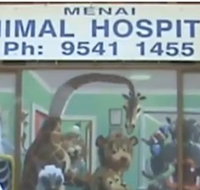 Menai Animal Hospital - Vets Newcastle