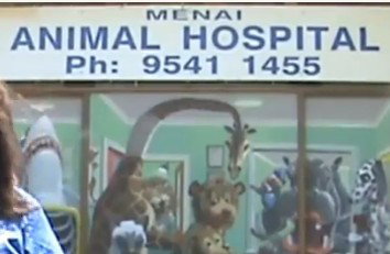 Menai Animal Hospital - Vets Newcastle 0