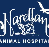 Narellan Animal Hospital - Vets Newcastle