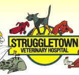 Struggletown Veterinary Hospital - Vets Newcastle