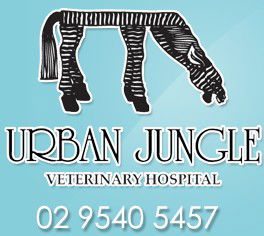 Urban Jungle Vet Hospital - Vets Newcastle 0