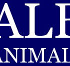 Albert Animal Hospital - Vets Newcastle