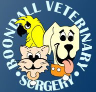 Boondall Veterinary Surgery - Vets Newcastle