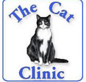 Creek Road Cat Clinic - Vets Newcastle