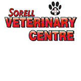 Book Maydena Accommodation Vacations Vets Newcastle Vets Newcastle