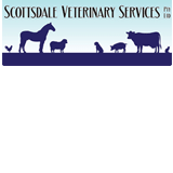 Scottsdale Veterinary Services Pty Ltd - Vets Newcastle