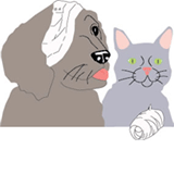 Rosny Park TAS Vets Newcastle