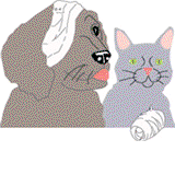 Eastern Shore Veterinary Hospital