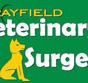 Morayfield Veterinary Surgery - Vets Newcastle