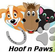 Vevs HoofnPaws Vets - Vets Newcastle