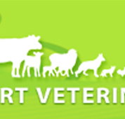 Westernport Veterinary Clinics - Vets Newcastle