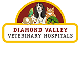 Montmorency Veterinary Hospital - Vets Newcastle