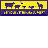 Book Seymour Accommodation Vacations Vets Newcastle Vets Newcastle