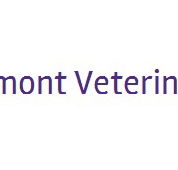 Belmont Veterinary Centre - Vets Newcastle