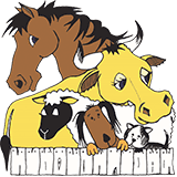 Stawell West VIC Vets Newcastle