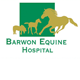 Barwon Equine Hospital - Vets Newcastle