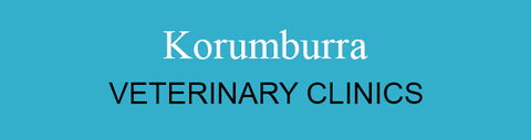 Korumburra Veterinary Clinic - Vets Newcastle 0