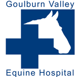 Goulburn Valley Equine Hospital - Vets Newcastle