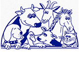 Mount Barker SA Vets Newcastle