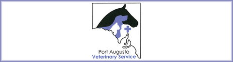 Port Augusta Veterinary Services - Vets Newcastle 0