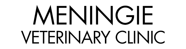 Meningie Veterinary Clinic - Vets Newcastle
