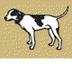 Motter Catherine - Vets Newcastle 0