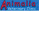 Kangaroo Flat SA Vets Newcastle