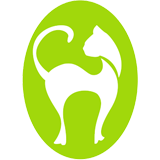 Tropical Queensland cat clinic - Vets Newcastle