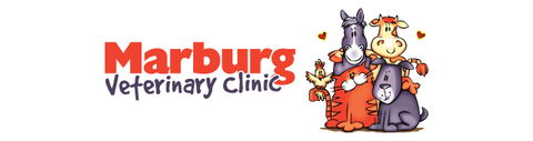 Marburg Veterinary Clinic - Vets Newcastle 0