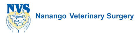 Nanango Veterinary Surgery - Vets Newcastle 0