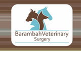 Book Kingaroy Accommodation Vacations Vets Newcastle Vets Newcastle