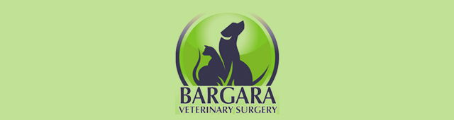 Electra QLD Vets Newcastle