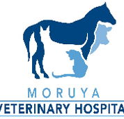 Moruya Veterinary Hospital - Vets Newcastle
