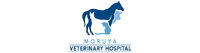 Book Moruya Accommodation Vacations Vets Newcastle Vets Newcastle