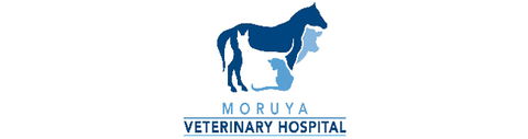Moruya Veterinary Hospital - Vets Newcastle 0