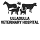 Ulladulla NSW Vets Newcastle