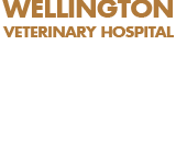 Wellington Veterinary Hospital - Vets Newcastle