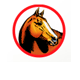 Equine Veterinary And Dental Services - Vets Newcastle